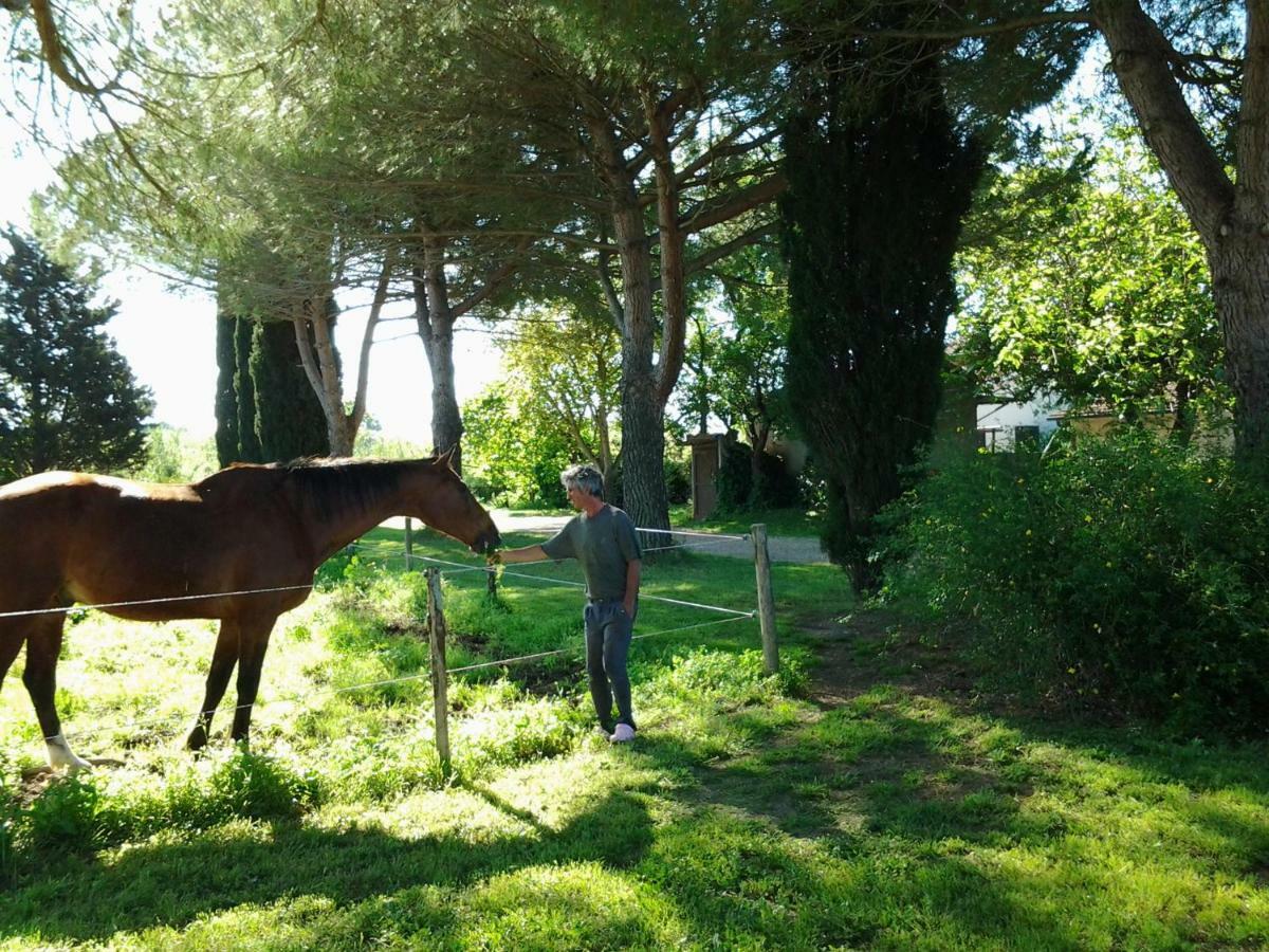 Agriturismo Piana Arborello Hotel Magliano in Toscana Exterior photo