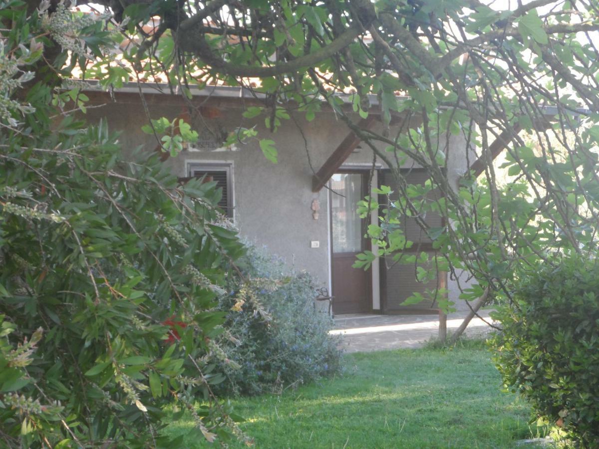 Agriturismo Piana Arborello Hotel Magliano in Toscana Exterior photo