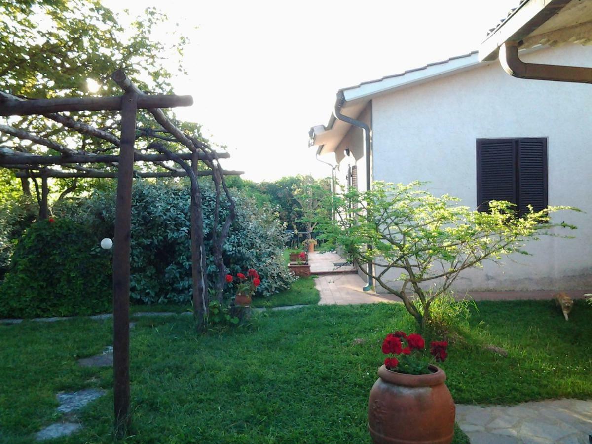 Agriturismo Piana Arborello Hotel Magliano in Toscana Exterior photo