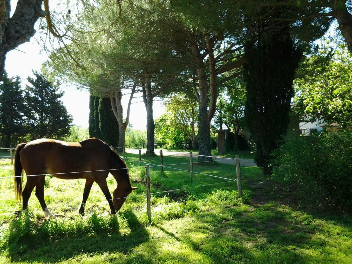 Agriturismo Piana Arborello Hotel Magliano in Toscana Exterior photo