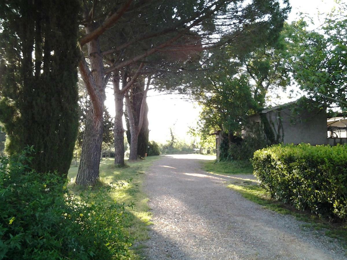 Agriturismo Piana Arborello Hotel Magliano in Toscana Exterior photo